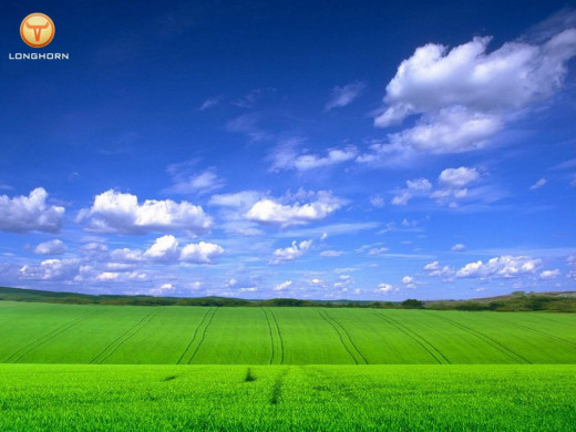 382272 (a): :1024x768